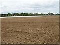 Sandy field near Red House