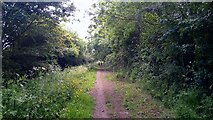 TL3571 : On the path/bridleway running parallel top Overcote Lane by Gordon Brown