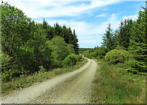 NX3076 : Forest road near Barshalloch by Mary and Angus Hogg