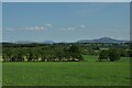 Springtime view towards Tinto Hill