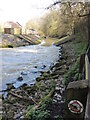 The walkway near Frenchay Mill