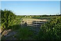 Gate above Spofforth