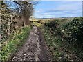 Blakeway Hollow towards Much Wenlock