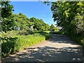 Old road, Crofton Bridge