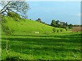 SP0001 : Grassy fields near Cirencester by Steve Daniels