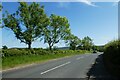 Road towards Otley