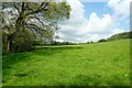 On the Shropshire Way approaching Lower Stanway