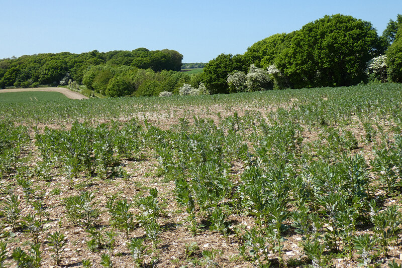 Farmland, Collingbourne Kingston © Andrew Smith Cc-by-sa/2.0 ...