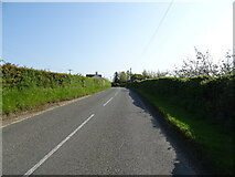 TM1660 : Debenham Road towards Winston Green by JThomas