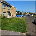 Unmown lawn, Meadow Road, Stonehouse, Gloucestershire