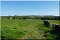 Fields above Fewston