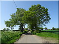 Clint Road towards Thorndon