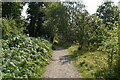 Footpath by Luss Water