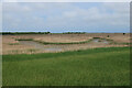 Hickling Broad reedbed