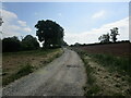 Track to The Tack near Leysters