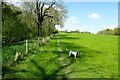 Towards Wilderhope Manor on the Shropshire Way