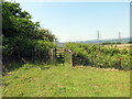 Llwybr i Bontwalby / Path to Pontwalby