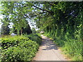 Llwybr i Benderyn / Path to Penderyn