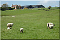 Pasture, Upper Winchendon