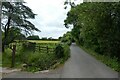 Bilton Lane near Foolish Wood