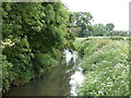 Tributary on its way to the River Vyrnwy, near Llanymynech