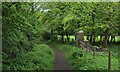 Weardale Way entering Lumley Park Wood