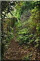 Path from Higher Lincombe Road