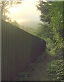 Footpath to Lincombe Drive