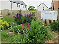 Summerhill Park Community Garden