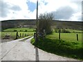 Farm track at Canolfryn