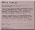 NT2475 : Shipping Roots - 'Fleece Fugitives' by M J Richardson