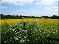 View from the Vanguard Way north of Edenbridge