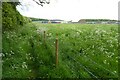 Footpath at Hopton Heath