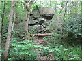 Rocky outcrop in East Arncliffe Woods