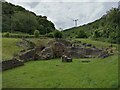 Tintern Ironworks ruins