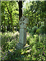 Celtic Cross at Prideaux Place