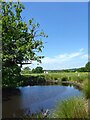 Pond, Lundsford Farm