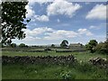 Turning the hay, Carperby