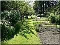 Part of the gardens at Sunnycroft, Wellington