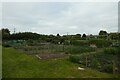 Knapton Allotments