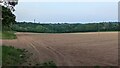 View across field towards Oakwood Theme Park