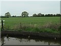 Farmland east of Hassall Green