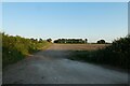 Field west of Yapham Hall