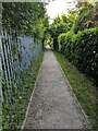 Path between railings and a hedge, Stonehouse, Gloucestershire