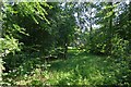 Path to John Hopton mausoleum (Canon Frome)