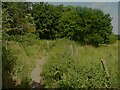 Footpath 59 east of Park House Road, Low Moor