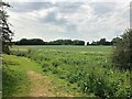 Footpath near New Brinsley