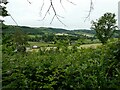 Scene just above Llangedwyn in June