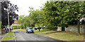 Road through Hawthorn