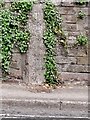 Old Boundary Marker on the B3040 Romsey Road, Winchester